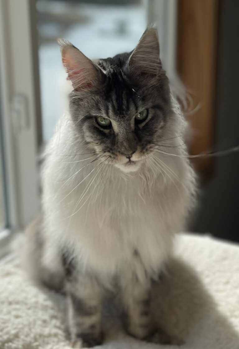 Effective Blog Promotion: Strategies to Increase Your Reach