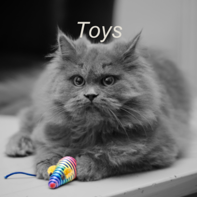 Cat toys for mental stimulation and play