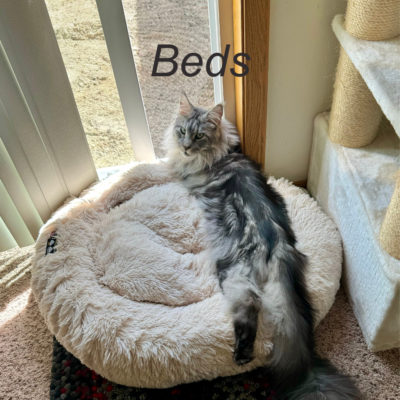 Soft, cozy cat beds made from safe, washable materials - ensuring comfort, cleanliness, and security for your cat. Catacats.